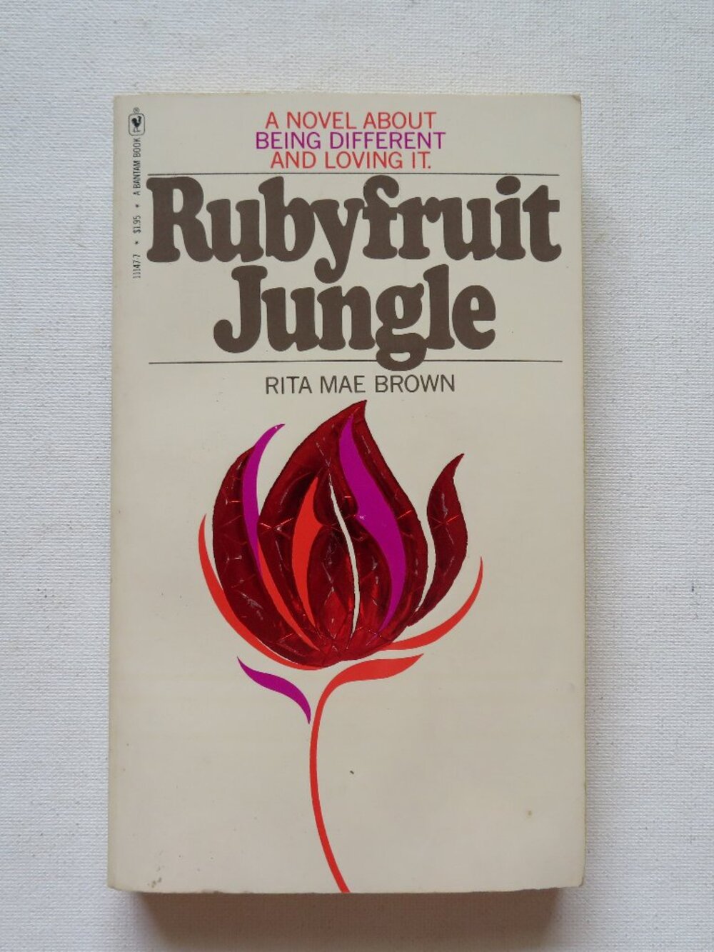 Rubyfruit Jungle by Rita Mae Brown Vintage LGBTQ Lesbian Paperback Novel